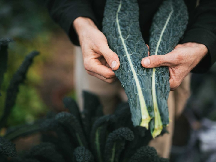 Bærekraftskonferanse