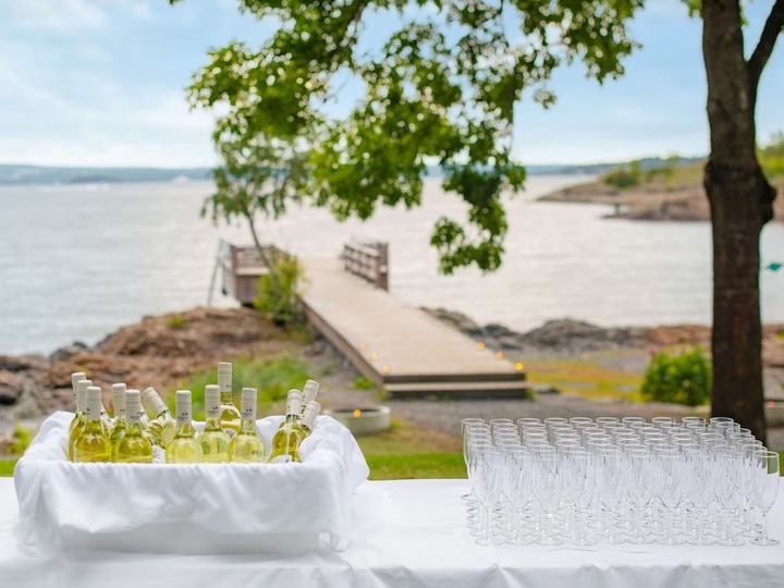 Sommerfest ved Oslofjorden